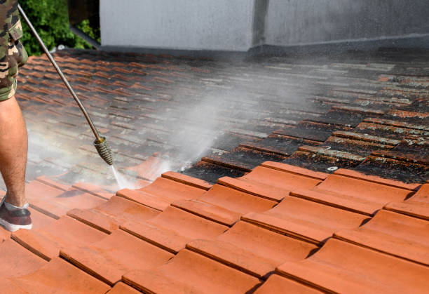 Best Roof Power Washing Services  in Paramount Long Meadow, MD