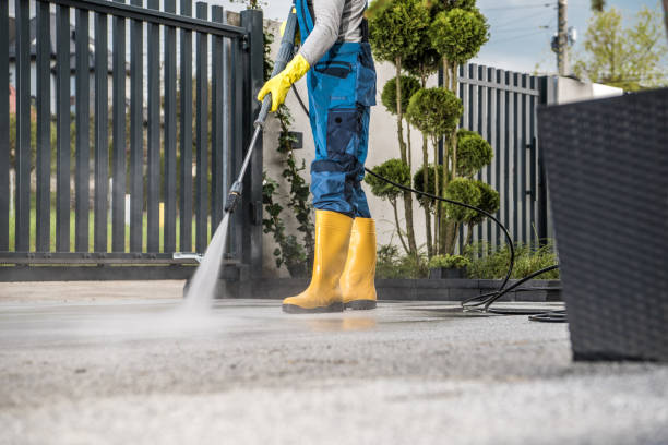 Best Exterior Home Cleaning  in Paramount Long Meadow, MD