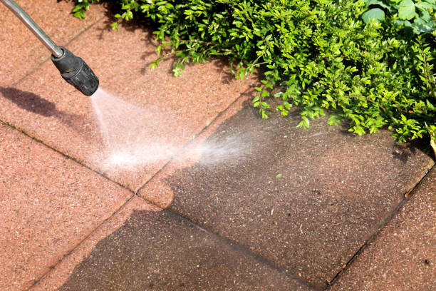Best Pressure Washing Near Me  in Paramount Long Meadow, MD